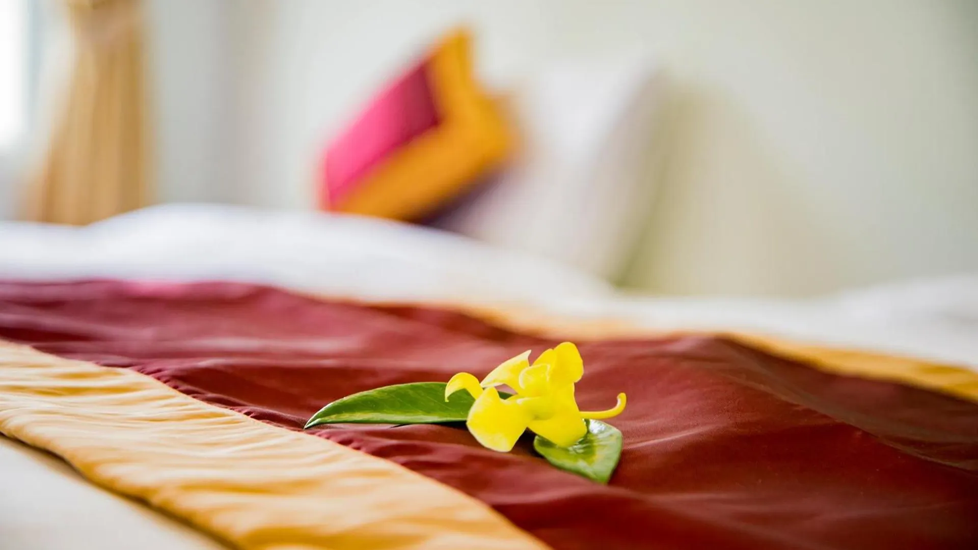 Mi Kha Homestay Hoi An Vietnam